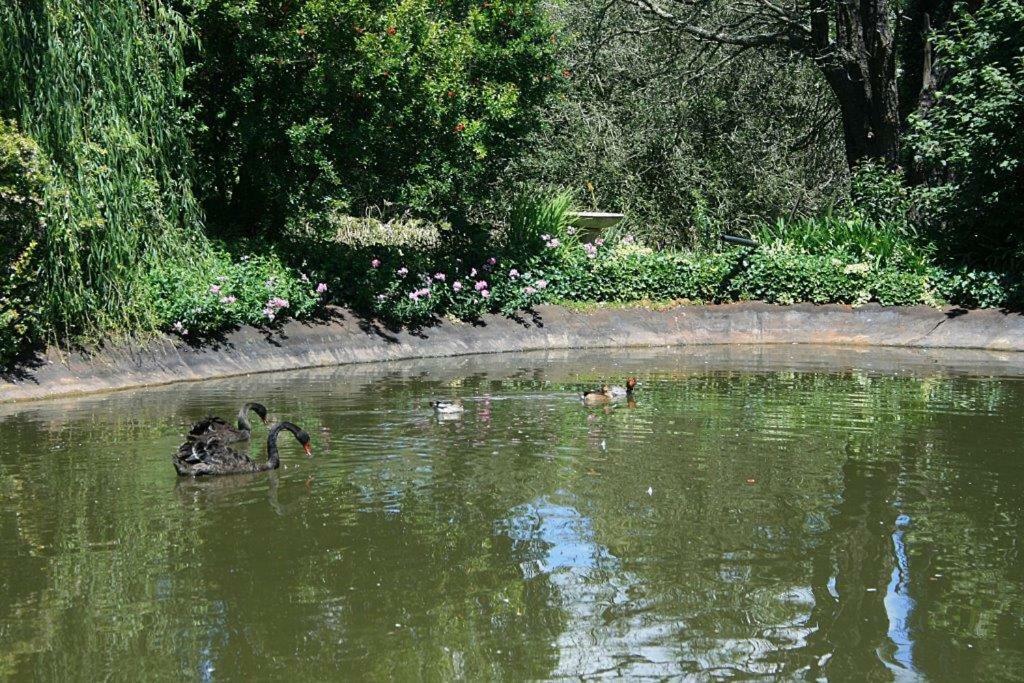 Drinkwater Guest Farm Grootgewaagd Zewnętrze zdjęcie